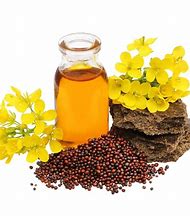 Mustard oil