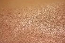 Aniline Leather