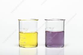 Bromocresol Purple