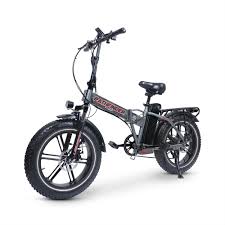 Electric Bicycle