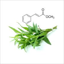 Methyl Chavicol