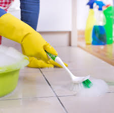 Tile Cleaner