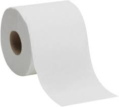 Toilet Paper Rolls