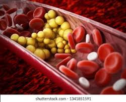 Triglyceride