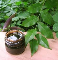 Balsam Oil