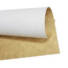 White Top Kraft Liner