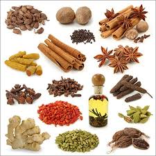 Seed Spices