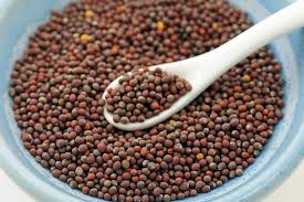 Mustard Seeds