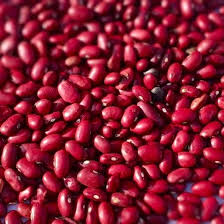 Rajma