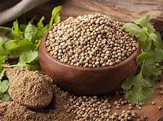 Coriander