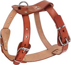 Leather Dog Harness